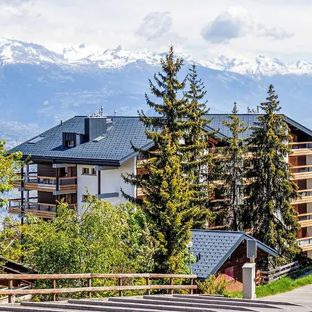 De Cry 16 By Interhome * Nendaz